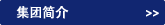 集團(tuán)簡(jiǎn)介