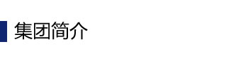 集團(tuán)簡(jiǎn)介